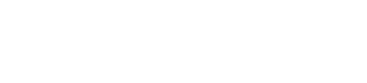 Carzo logo